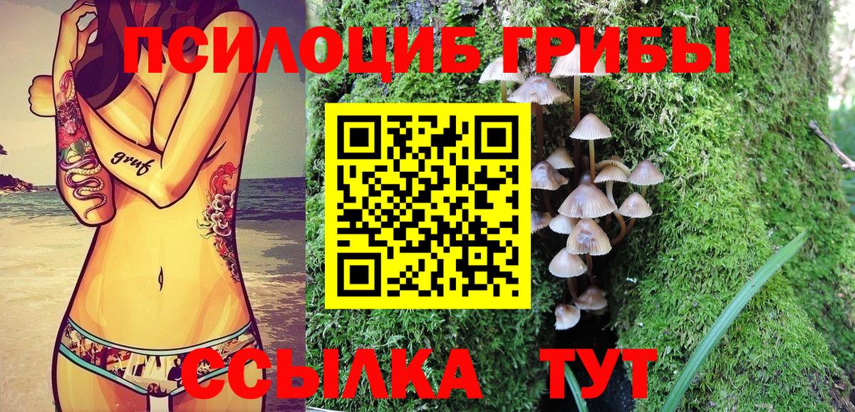 Галлюциногенные грибы мухоморы Сибай