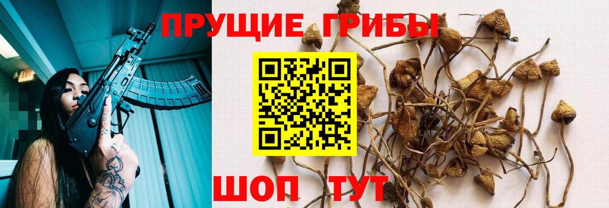 Псилоцибиновые грибы мицелий  Вход с VPN  Галлюциногенные грибы ЛСД  Сибай 